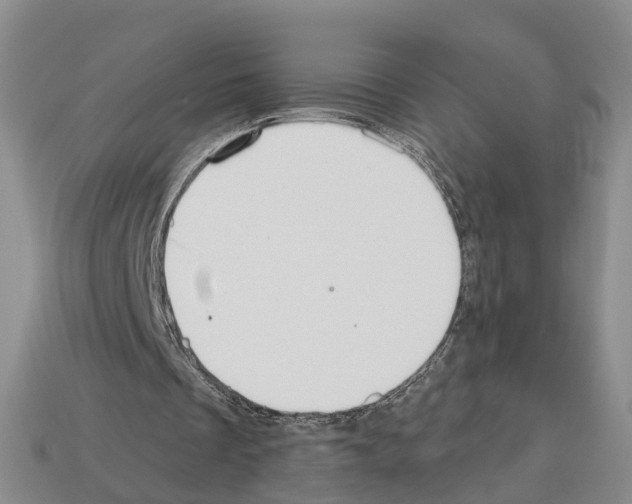 X0000112520289200909281022