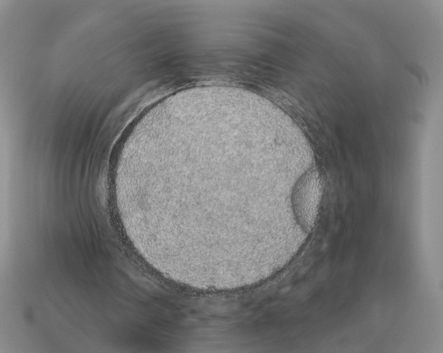 X0000112520290200909281022