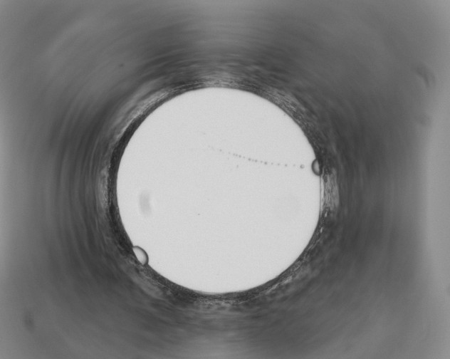 X0000112520291200909281022