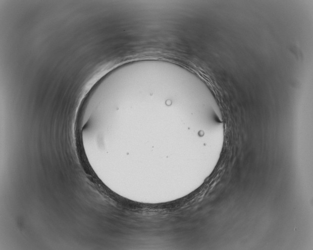 X0000112520292200909281022