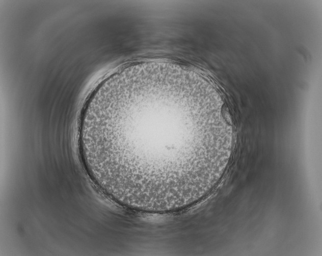X0000112520293200909281022