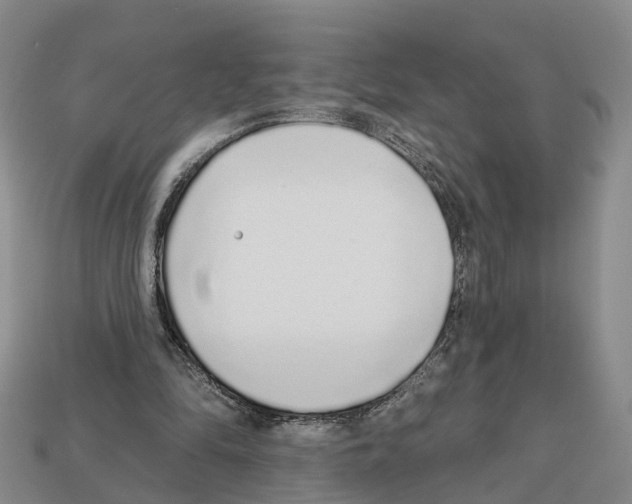 X0000112520294200909281022