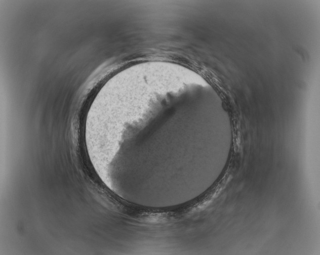 X0000112520295200909281022