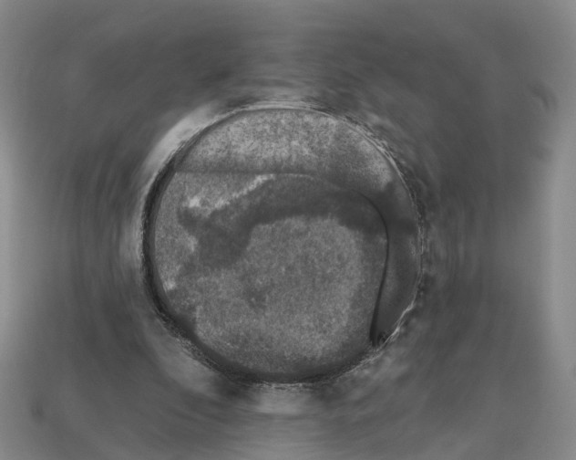 X0000112520296200909281022