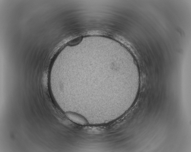X0000112520297200909281022