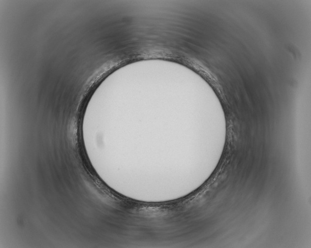 X0000112520298200909281022