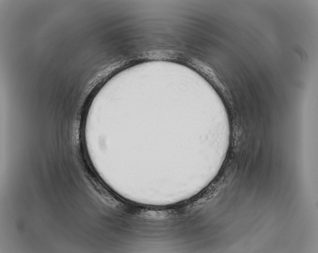 X0000112520299200909281022
