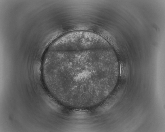 X0000112520300200909281022