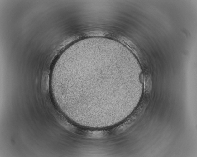 X0000112520301200909281022