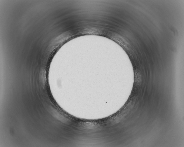 X0000112520302200909281022