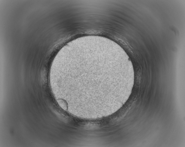 X0000112520303200909281022