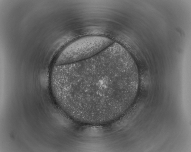 X0000112520304200909281022