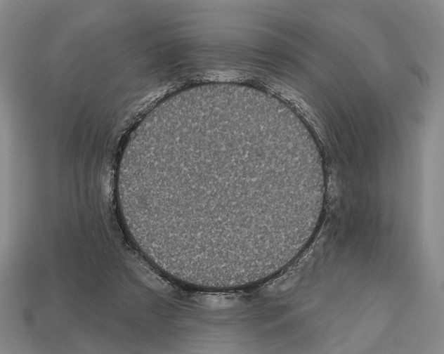 X0000112520305200909281022