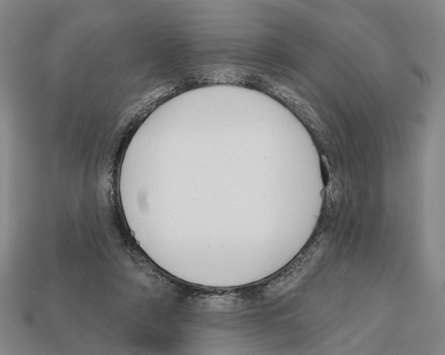 X0000112520306200909281022