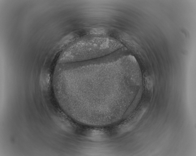X0000112520308200909281022