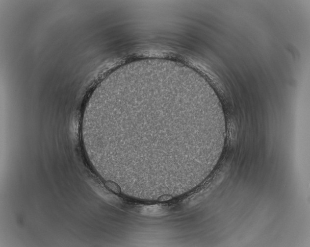 X0000112520309200909281022