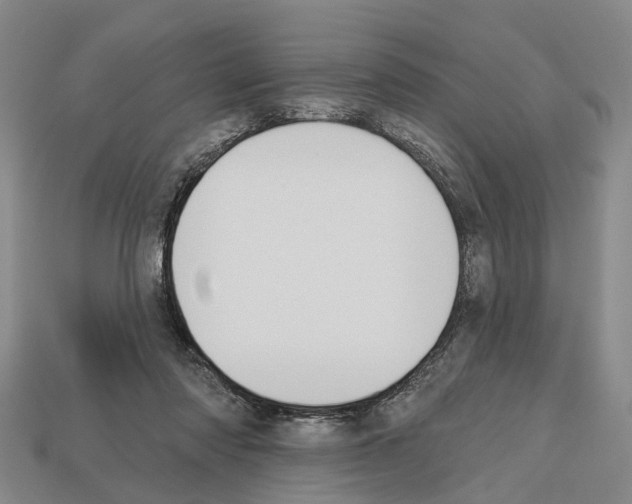 X0000112520310200909281022