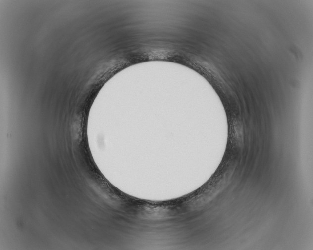 X0000112520311200909281022