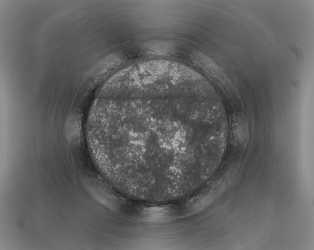 X0000112520312200909281022