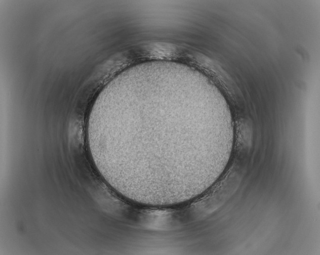 X0000112520313200909281022