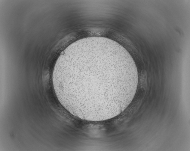 X0000112520314200909281022