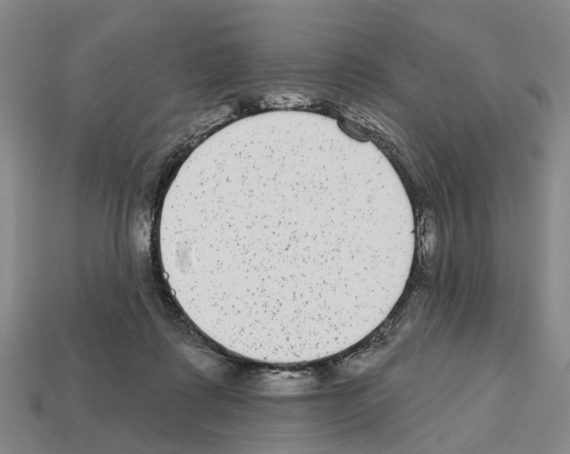 X0000112520315200909281022