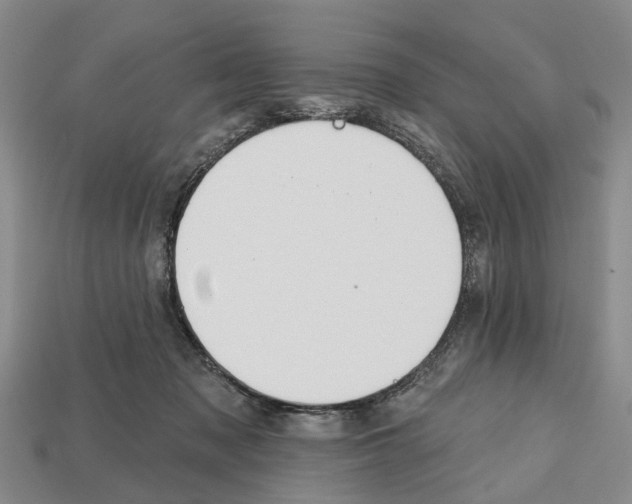 X0000112520317200909281022