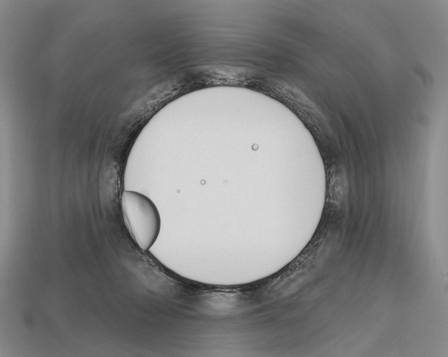 X0000112520318200909281022