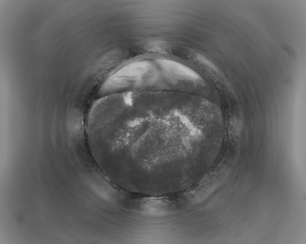 X0000112520320200909281022