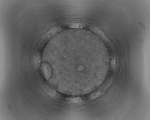 X0000112520322200909281022