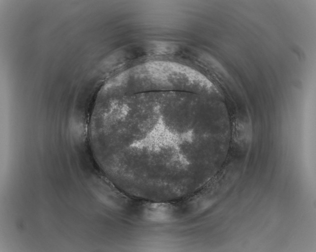 X0000112520324200909281022