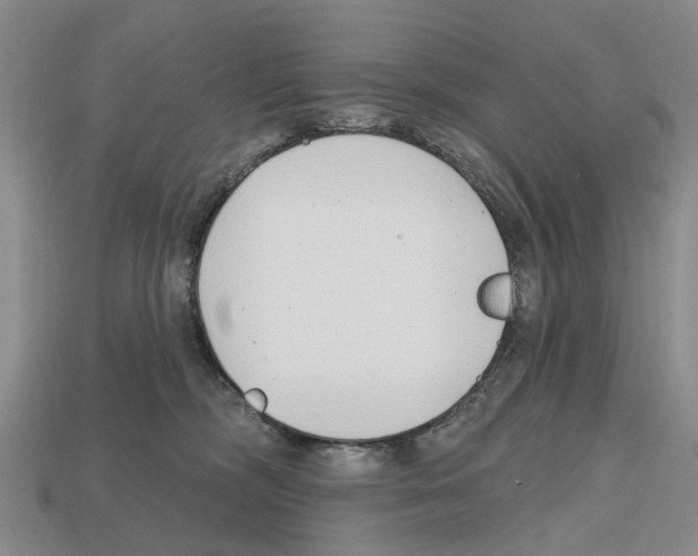 X0000112520326200909281022