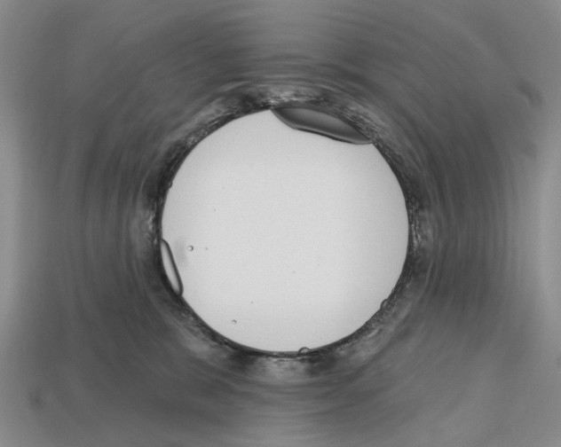 X0000112520327200909281022