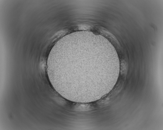 X0000112520329200909281022
