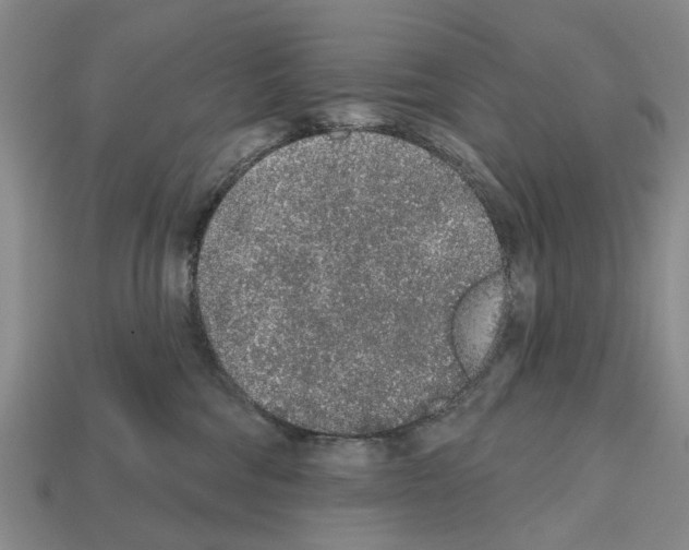 X0000112520330200909281022