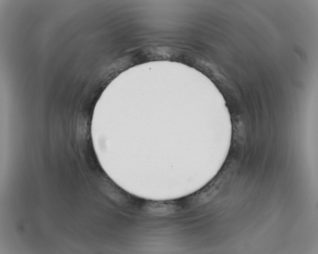 X0000112520331200909281022