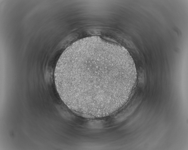 X0000112520332200909281022