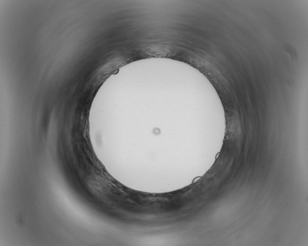 X0000112520334200909281022