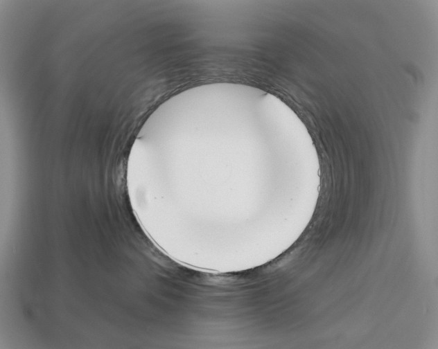 X0000112520336200909281022