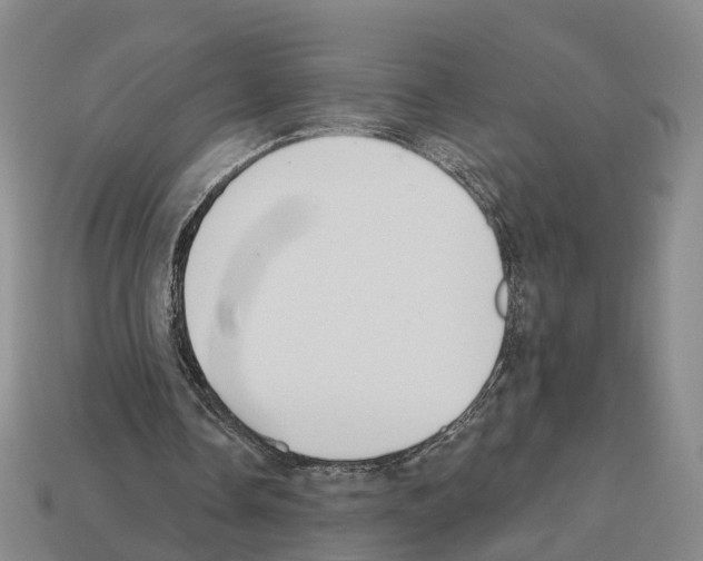 X0000112520338200909281021