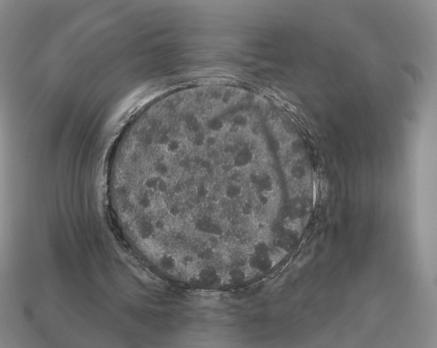 X0000112520339200909281021