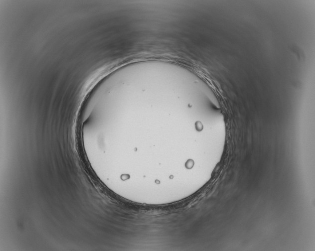 X0000112520340200909281021