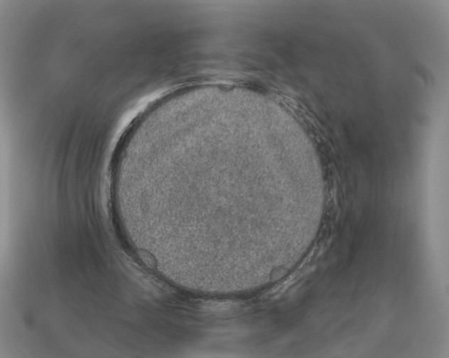 X0000112520342200909281021