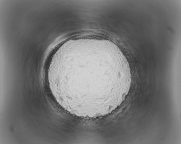 X0000112520343200909281021