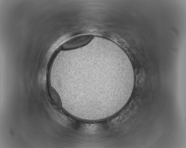 X0000112520344200909281021