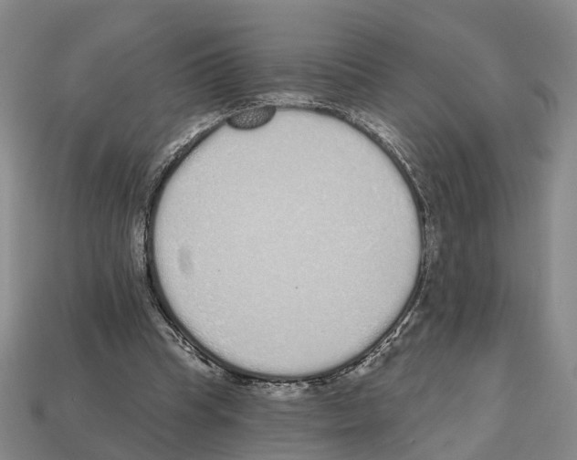 X0000112520345200909281021