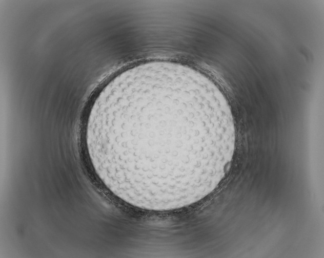 X0000112520346200909281021
