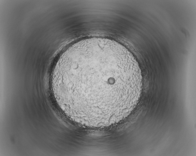X0000112520347200909281021
