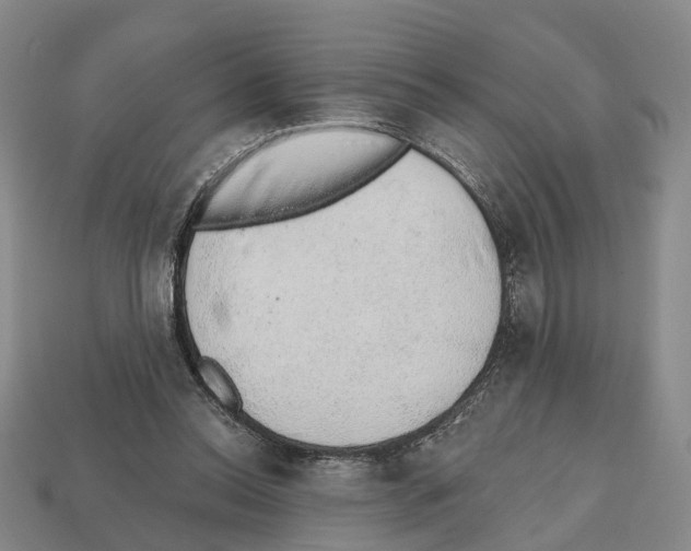X0000112520350200909281021