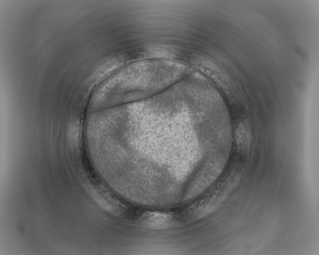 X0000112520352200909281021